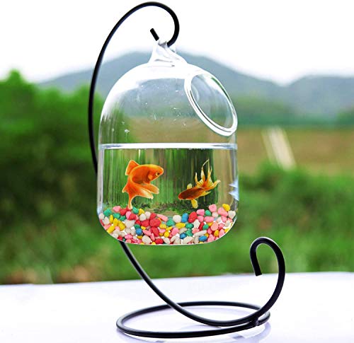 Image of Mixed Gems Pebbles for Decoration and Pebbles for Plants Pots, Table Decor, Home Decor, Vase Fillers - Decorative Pebbles Stones (2.9 Kgs, Mixed Gems)