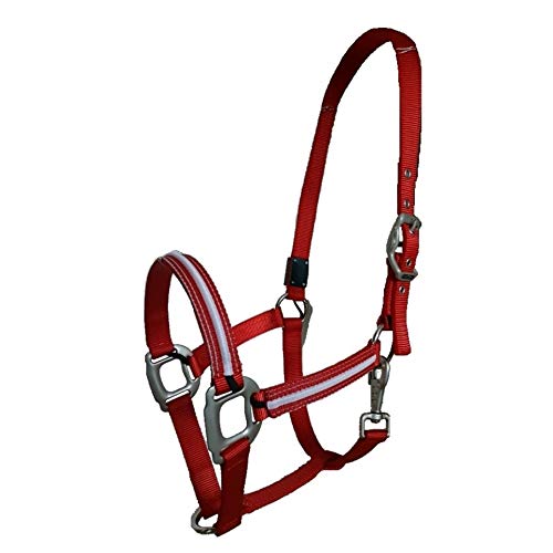 Foto von Reinecke Equestrian Leuchthalfter Lichthalfter Sicherheitshalfter Stallhalfter Weidehalfter LED-Nylonhalfter Dreamlight (Full/WB, Rot)