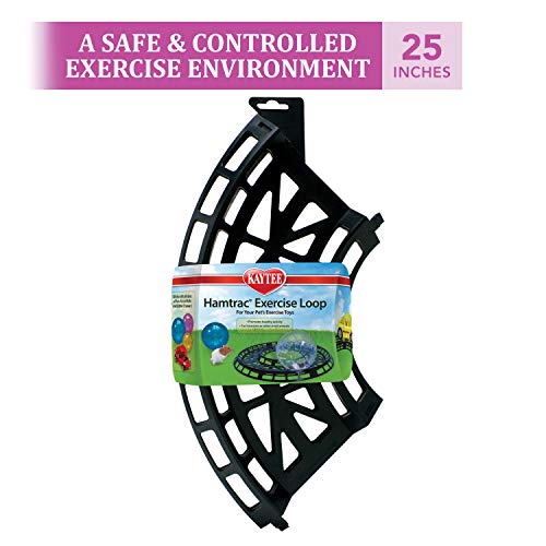 Kaytee Hamtrack Exercise Loop for Exercise Balls & Critter Cruiser Car (includes 4 curved sections) - image 5