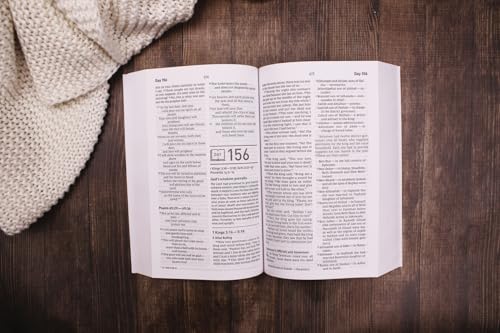 Image of NIV, Daily Scripture, Paperback, White /Sage, Comfort Print: 365 Days to Read Through the Whole Bible in a Year