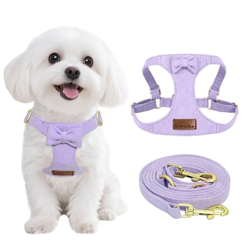 Guiding Star hbOn[lX ^ @\[VAȂ q n[lX [VZbg g[jOA킢\tg ߉\ pEH[LOn[lX ybgxXgn[lX (p[v-XXS)