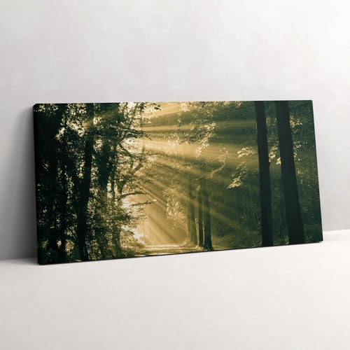 Tableau sur toile 100x50cm pour agrandir un salon sombre déco murale forêt et rayons de soleil