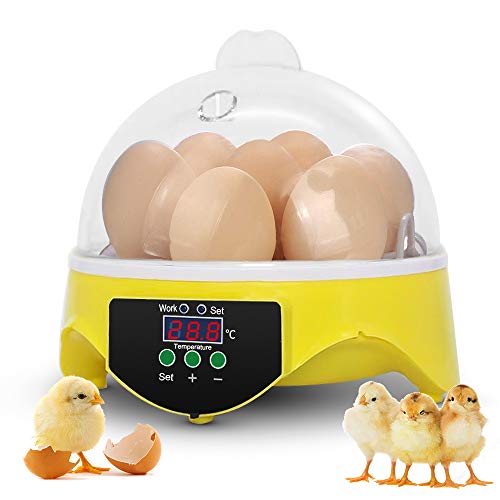 Mini Egg Incubator 7 Eggs Fully Automatic Poultry Hatcher Machine with Temperature Control
