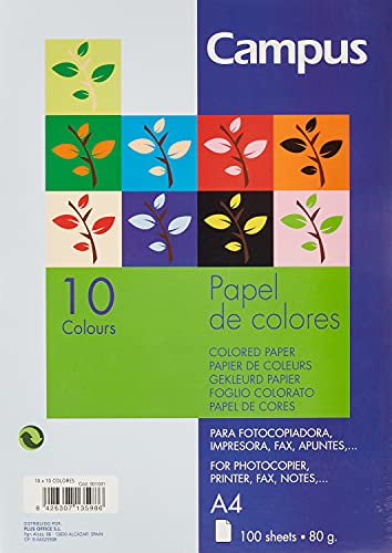 PAPEL COLOR CAMPUS DIN A4 PAQUETE DE 10 COLORES SURTIDOS 100 HOJAS 80 GRAMOS Cover