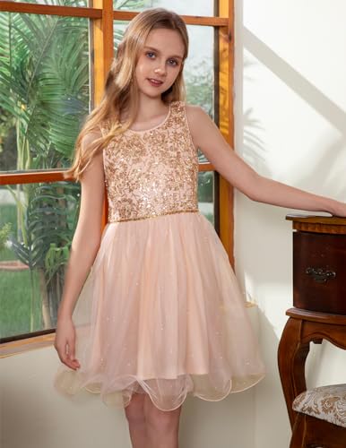 Girls Polka Dots Tutu Dress Sleeveless Flower Girl Dress Layered Tulle Princess Birthday Party Summer Sundress2