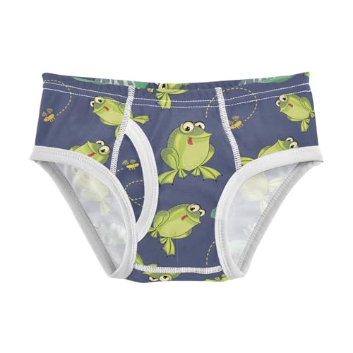Little Boys Briefs Frog Soft Cotton Toddler Underwear in Sizes 2/3t, 4t, 5t, 6 and 8