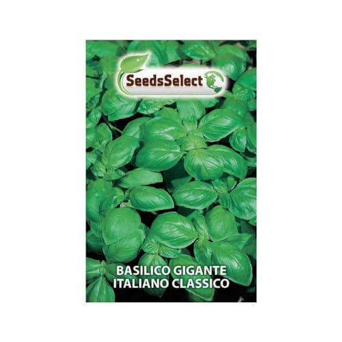 Semi Basilico Gigante Italiano Classico Bustina Termosaldata Sementi Giardino Giardinaggio