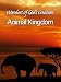 Wonders of God's Creations: Animal Kingdom