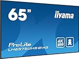 Zoom IMG-2 iiyama prolite lh6575uhs b1ag display