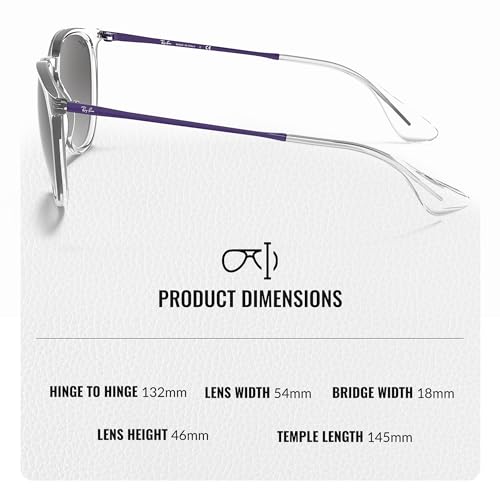 Image of Ray-Ban RB4171 ERIKA COLOR MIX Phantos Shaped Sunglasses for Women with Official RAYBAN Eyewear Kit