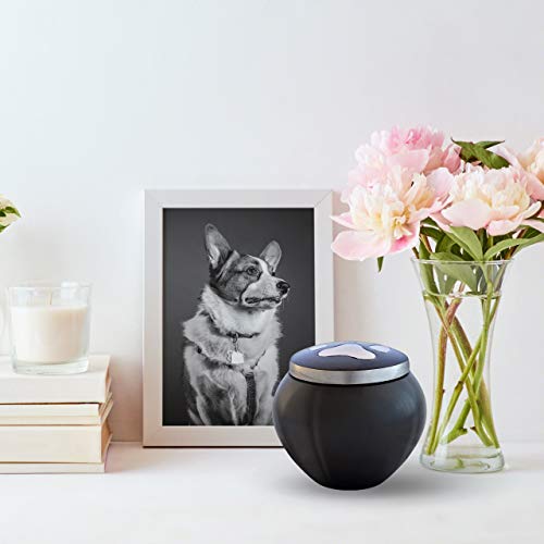 Best Friend Services Pet Urn - Memorial Cremation Pet Urns For Dog And Cat Ashes, Hand Carved Mia Series Urn For Pets Up To 25 Lbs (Small, Slate, Single Pewter Paw) #TOP7
