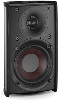 Amazon.co.jp: DALI ダリ FAZON MIKRO 壁掛けスピーカー FAZON/M/IB
