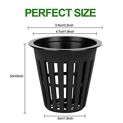 HXSEMAYIG Vasos de rede de 5 cm, copo hidropônico, copos de rede para cultivo interno ou externo