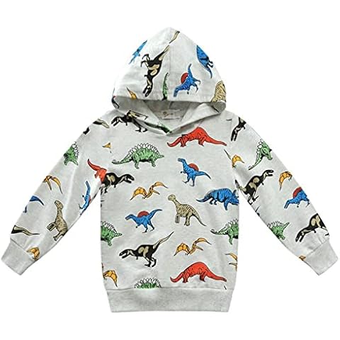 LeeXiang Kids' Hooded Sweatshirt Toddler Boys' Girls' Fashion Pullover Hoodies (Grey Dinosaur, 2T) Cover