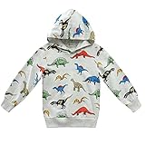 LeeXiang Kids' Hooded Sweatshirt Toddler Boys' Girls' Fashion Pullover Hoodies (Grey Dinosaur, 3T)