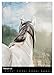 Mystical Horses (Wall Calendar 2026 DIN A2 High), CALVENDO Monthly Calendar: 12 Wonderful Dream Horses