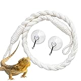 Accessoire sécurisé pour reptiles : Conçu avec des matériaux sans danger pour animaux et des bords lisses, cette décoration de terrarium minimise les risques tout en offrant des opportunités d'enrichissement. Permet aux animaux d'interagir en toute sécurité dans leur terrarium pendant des heures.