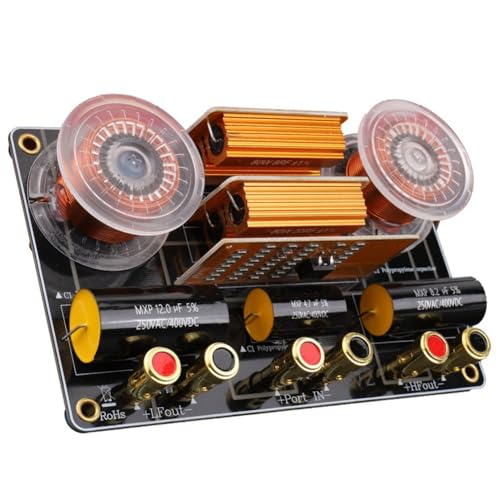 Svplcxeyp �n�C�t�@�C�I�[�f�B�I Hi-Fi 800W 2�E�F�C�X�s�[�J�[���g�������t�B���^�[�N���X�I�[�o�[�{�[�h 2600Hz �c�C�[�^�[�q���[�Y�ی�t��