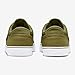 Nike SB Chron 2 Canvas (DM3494-301, Pilgrim/Pilgrim/White/Black) Size 5