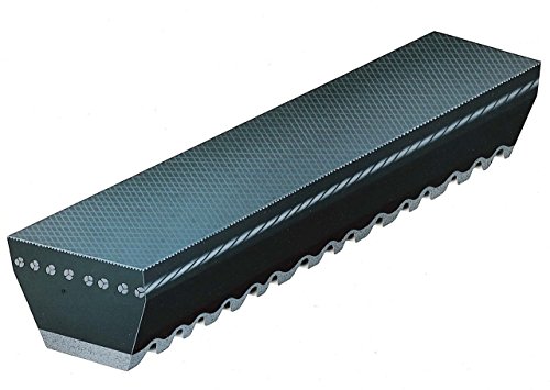 Courroie Gates 9545 Xl V-Belt anti-patinage pour stopper les bruits moteur