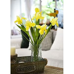 6 Long-Stem Real Touch Artificial Lemon Yellow Irises – Realistic Faux Flowers for Home Decor, Wedding Bouquets, Centerpieces & Floral Arrangements 6 Long Stem Real Touch Artificial Lemon Yellow Irises–Realistic Faux Flowers for Home Decor Wedding Bouquets Centerpieces Floral Arrangements
