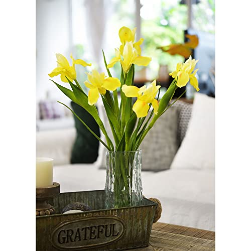 6-Long-Stem-Real-Touch-Artificial-Lemon-Yellow-Irises–Realistic-Faux-Flowers-for-Home-Decor-Wedding-Bouquets-Centerpieces-Floral-Arrangements 6 Long Stem Real Touch Artificial Lemon Yellow Irises–Realistic Faux Flowers for Home Decor Wedding Bouquets Centerpieces Floral Arrangements