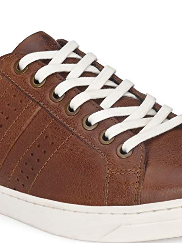 Image of Formal Shoes for Men