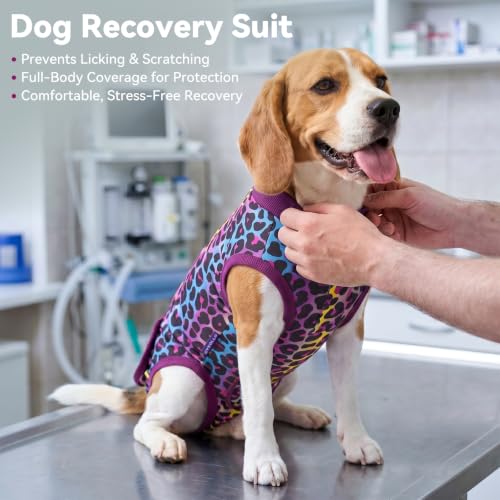 Image of cyeollo Dog Surgery Recovery Suit, Surgical Onesie for Female & Male Dogs | Prevents Licking, Cone Alternative, Ideal After Spay & Neuter, Protects Surgical Wounds, Easy Potty Access, 4-Way Stretch
