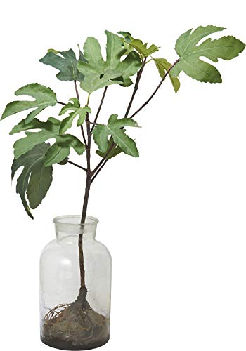 ???(Popy) ?? ????????? ???? ??73cm??48cm GLA-1475GR