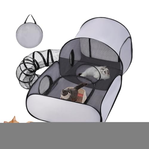 LbgvCy | Lpeg^nEX ܂肽ݎ OΉ sLvɍœK,qL q ^ybg̉^ sp OΉ