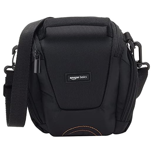 AmazonBasics Holster Camera Case for DSLR Cameras - Grey