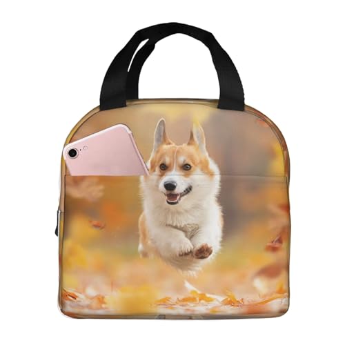 `obN   ۗ ٓobO  RpNg ^ѕ֗ p肳obO ~jg[gobO ʋ ʍZ s