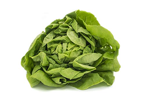 Fresh Produce Butterhead Lettuce 200g