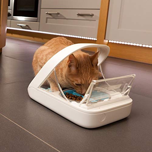 3 Best Microchip Cat Feeders for Your Felines (2023 Review)