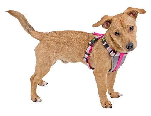 Kerbl Pet Geschirr für kleine Hunde S, neon blau