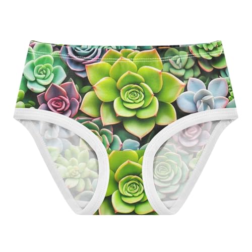 Succulent Plants Colorful Toddler Underwear Custom 2t Cotton Panties for Girl Personalized Briefs Kids Undies