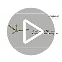 Image of Orient Electric 1200 mm Falcon 425 Deco Ceiling Fan (Royal Manioca)