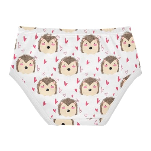 Joisal Toddler Girls Underwear 2t Cotton Panties Little Girl Print Underpants Briefs Cute Hedgehogs Pink Hearts2