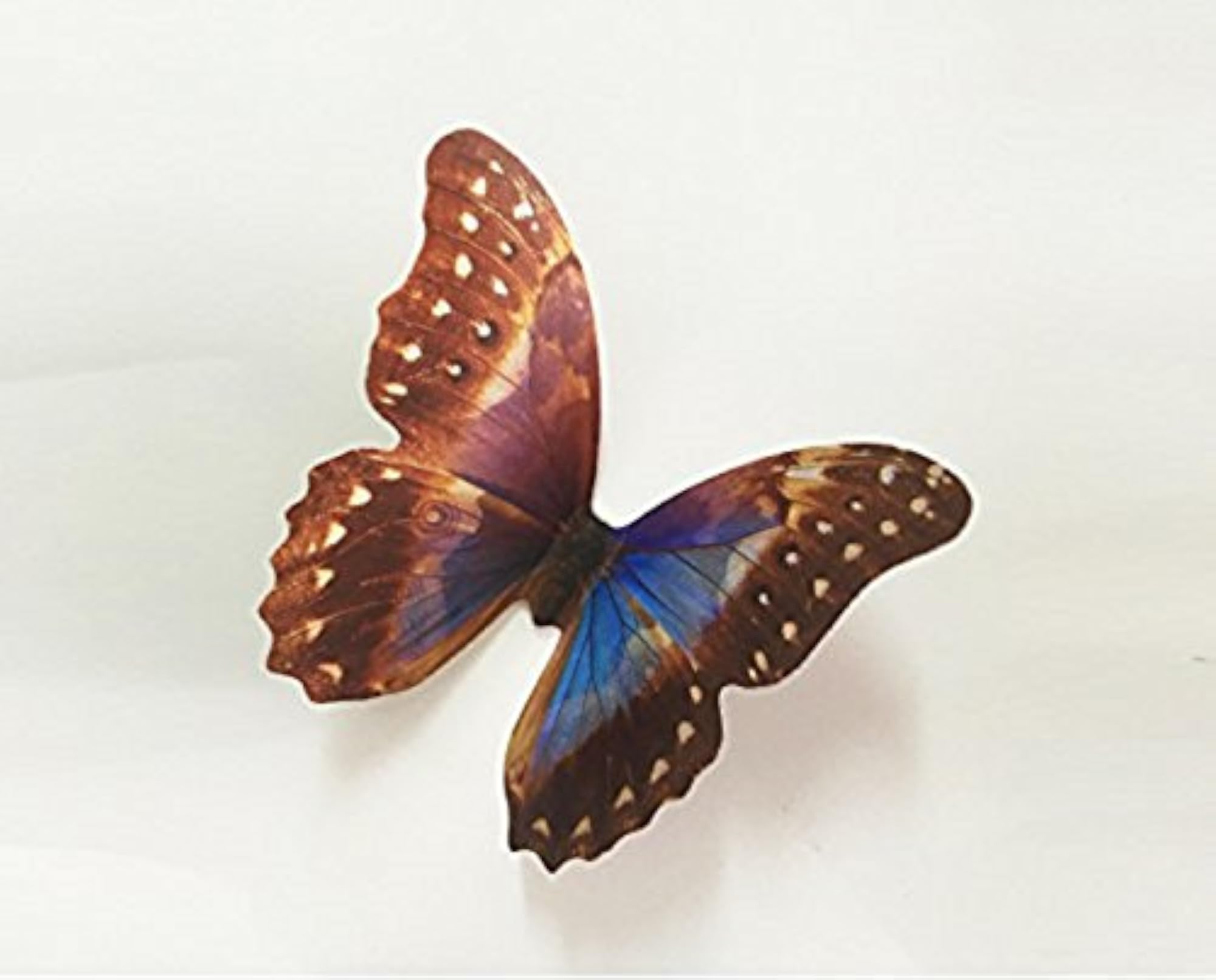 Multicolor Butterfly Wall Sticker Combo Pack