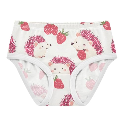 Wusikd Hedgehogs Girls' Underwear Cotton Strawberry Girls Briefs Soft Toddler Underwear 2T