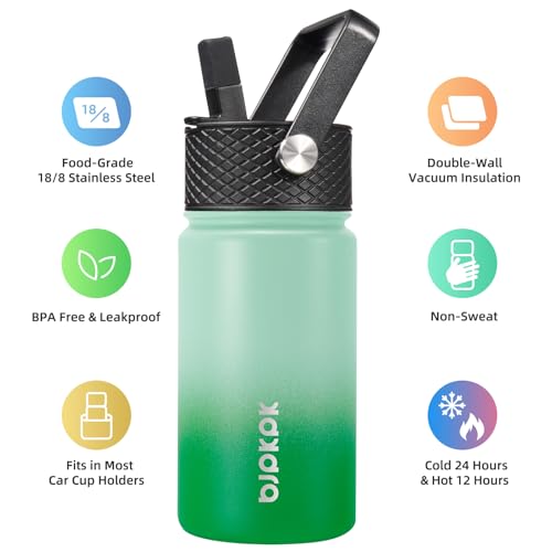 Image of BJPKPK Insulated Water Bottle, 15oz Stainless Steel with Straw Lid