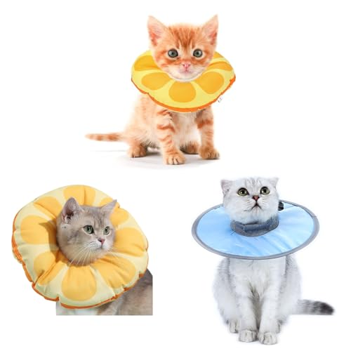 How long do cats need to wear cone after neuter