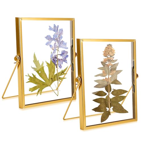WANDGU Lot de 2 cadres photo dorés double face : 15 x 20 cm Cadre en verre pour fleurs pressées...