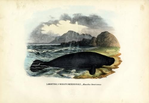 Tableau mural l'héritier des âges peinture poster abstraite haut de gamme