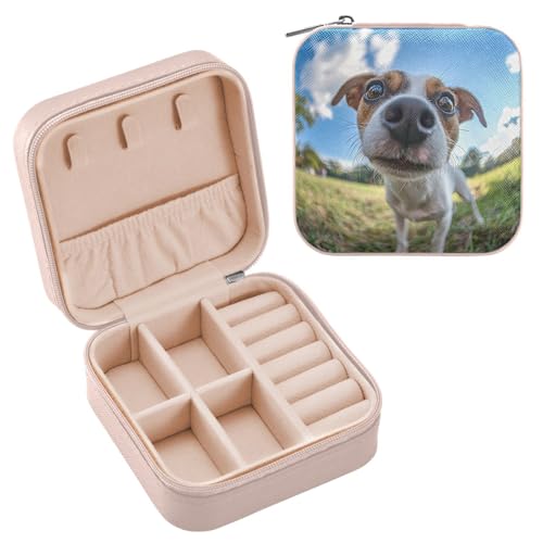 Qilmy Estojo de joias de viagem com foto olho de peixe fofo de cachorro, caixa de joias de viagem, estojo organizador de joias, caixas de armazenamento pequenas portáteis 356