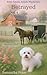 Betrayed: Amish Mystery book series (Ettie Smith Amish Mysteries 7)