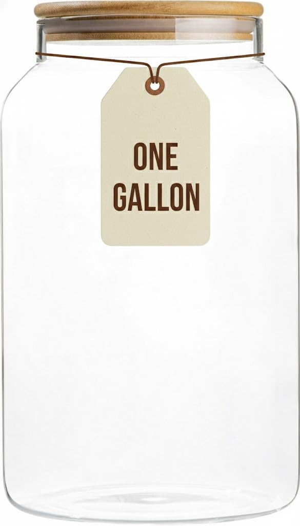 1 Gallon Glass Large Jar with Airtight Bamboo Lid - Strong Clear Borosilicate Canister for Kitchen Food Storage Organizing, Terrarium, Pantry Decorative Container & Laundry Room - Pack of 1