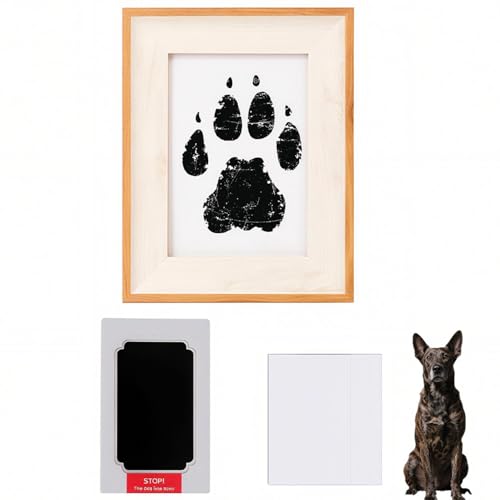 Lifetips b㌢iKai Kenj ybgp  X^v Lbg ^  ``X^v `쐬Lbg LO  Ȃ `    ` ^ ȒP S y Ճpbh IWi vg ] A