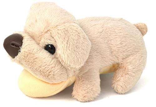 Aj}N[i[ N[jONX YNX }CNt@Co[ Aj}  Ck lR  v[g uh[