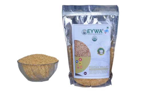Image of Eywa Seeds & Exports Pvt Ltd Foxtail Millet Grains (2 Kg) For Eating And Cooking|Kang Atta|Produce Of India From Organic Farms
